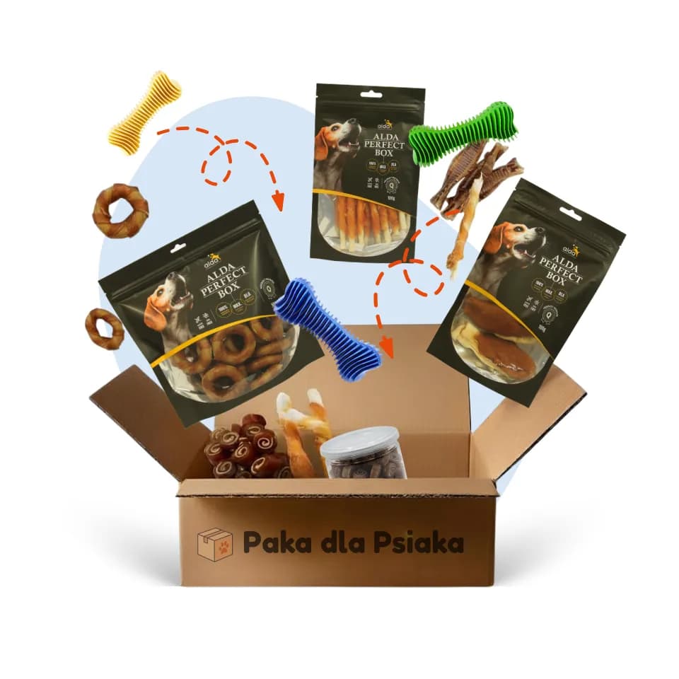 Zawartość paki